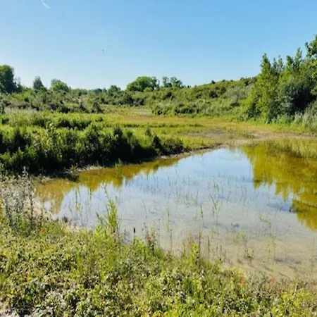 Beautiful Located On The Dunes Nieuwpoort