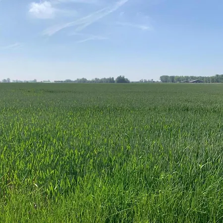 Apartament Relaxing Beachside