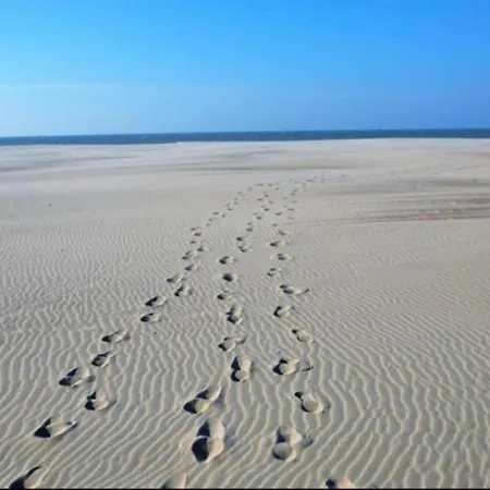 Relaxing Beachside Apartament