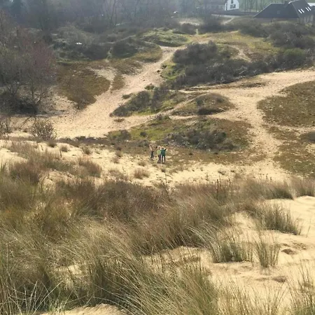 Relaxing Beachside *